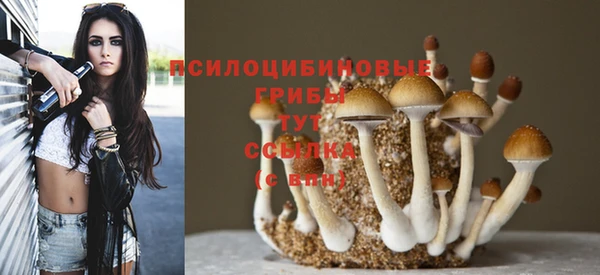 марки nbome Заводоуковск