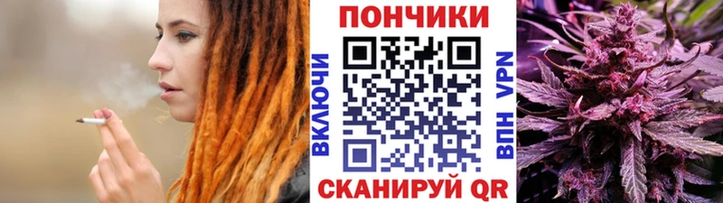Бошки марихуана SATIVA & INDICA  Купить закладки  Лесной 